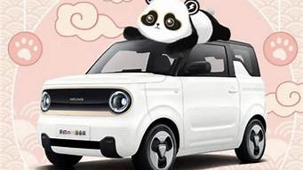 吉利熊猫汽车漂移_吉利熊猫汽车漂移视频