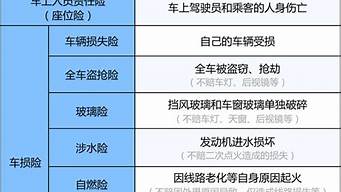 汽车保险买哪些_电动汽车保险买哪些
